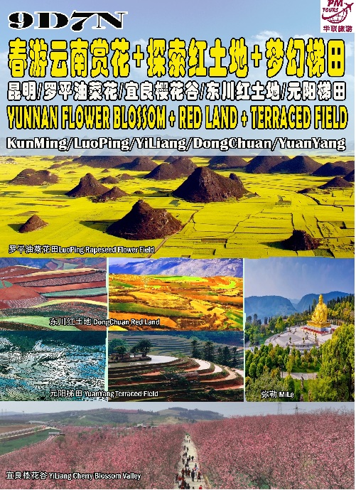 云南赏花团行程Website
